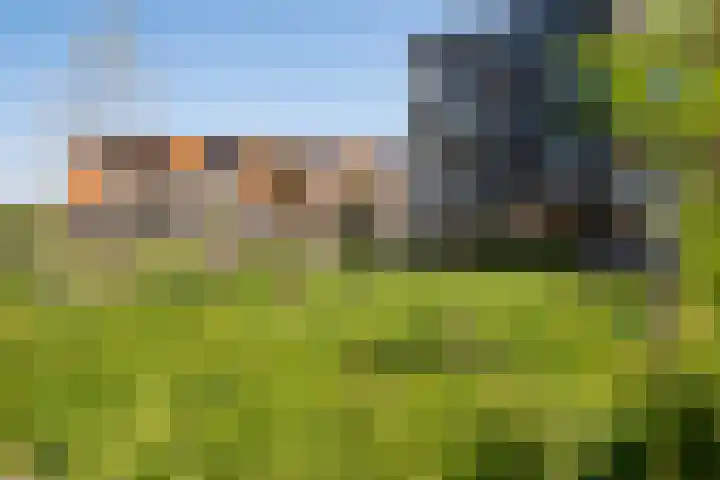 Smaragd 2 Roelofarendsveen thumbnail 25
