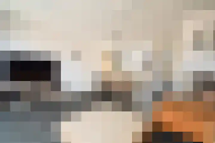 Smaragd 2 Roelofarendsveen foto 3