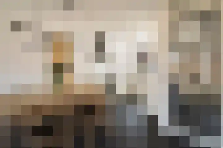 Smaragd 2 Roelofarendsveen thumbnail 5