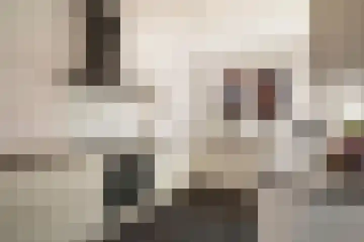 Smaragd 2 Roelofarendsveen thumbnail 7