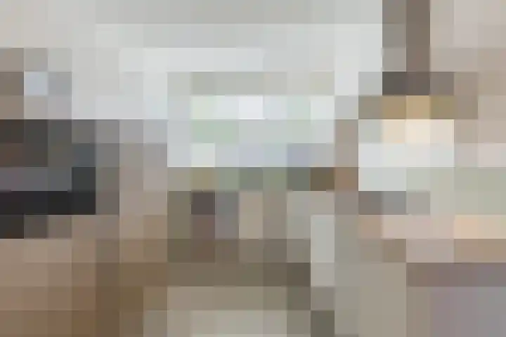Smaragd 21 Venlo thumbnail 12
