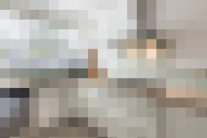 Smaragd 21 Venlo thumbnail 13