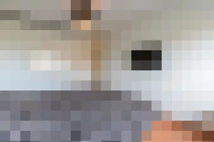 Smaragd 21 Venlo thumbnail 21