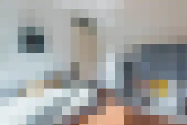 Smaragd 21 Venlo thumbnail 23