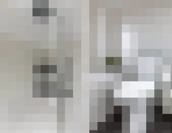 Smaragd 21 Venlo thumbnail 26