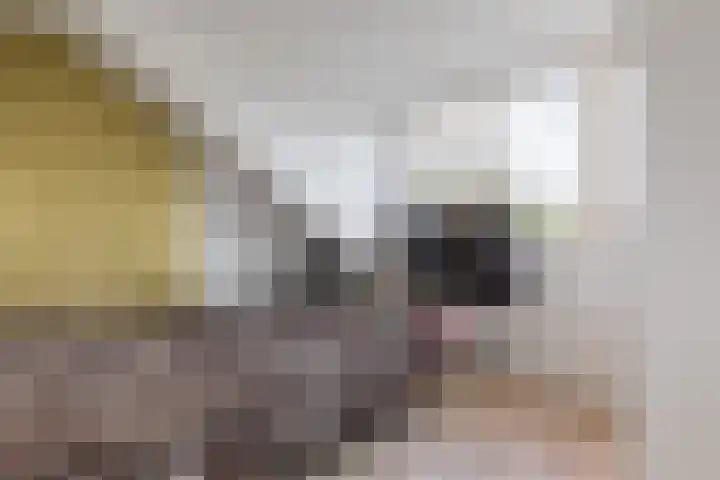 Smaragd 21 Venlo thumbnail 27