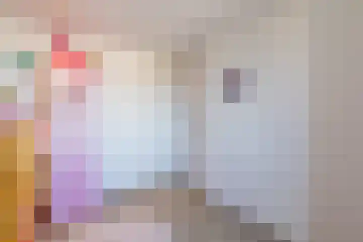 Smaragd 21 Venlo thumbnail 31