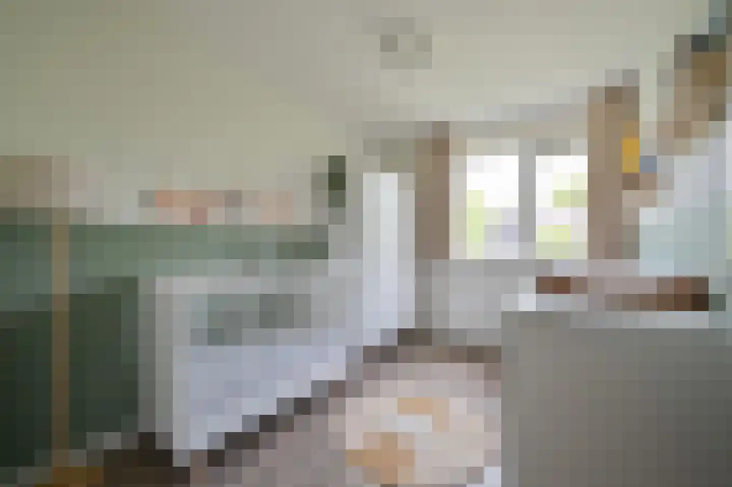 Smaragd 25 Mijdrecht thumbnail 16