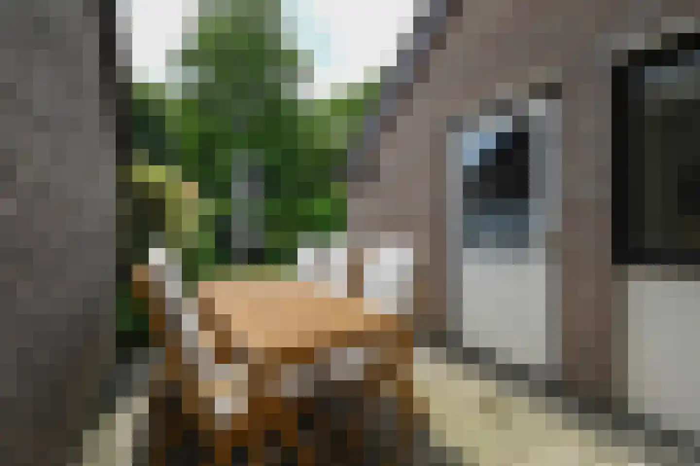 Smaragd 25 Mijdrecht thumbnail 24