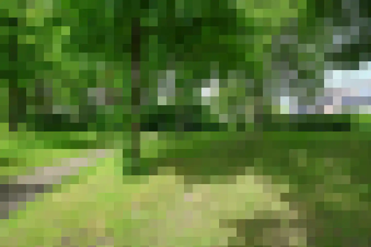 Smaragd 25 Mijdrecht thumbnail 34