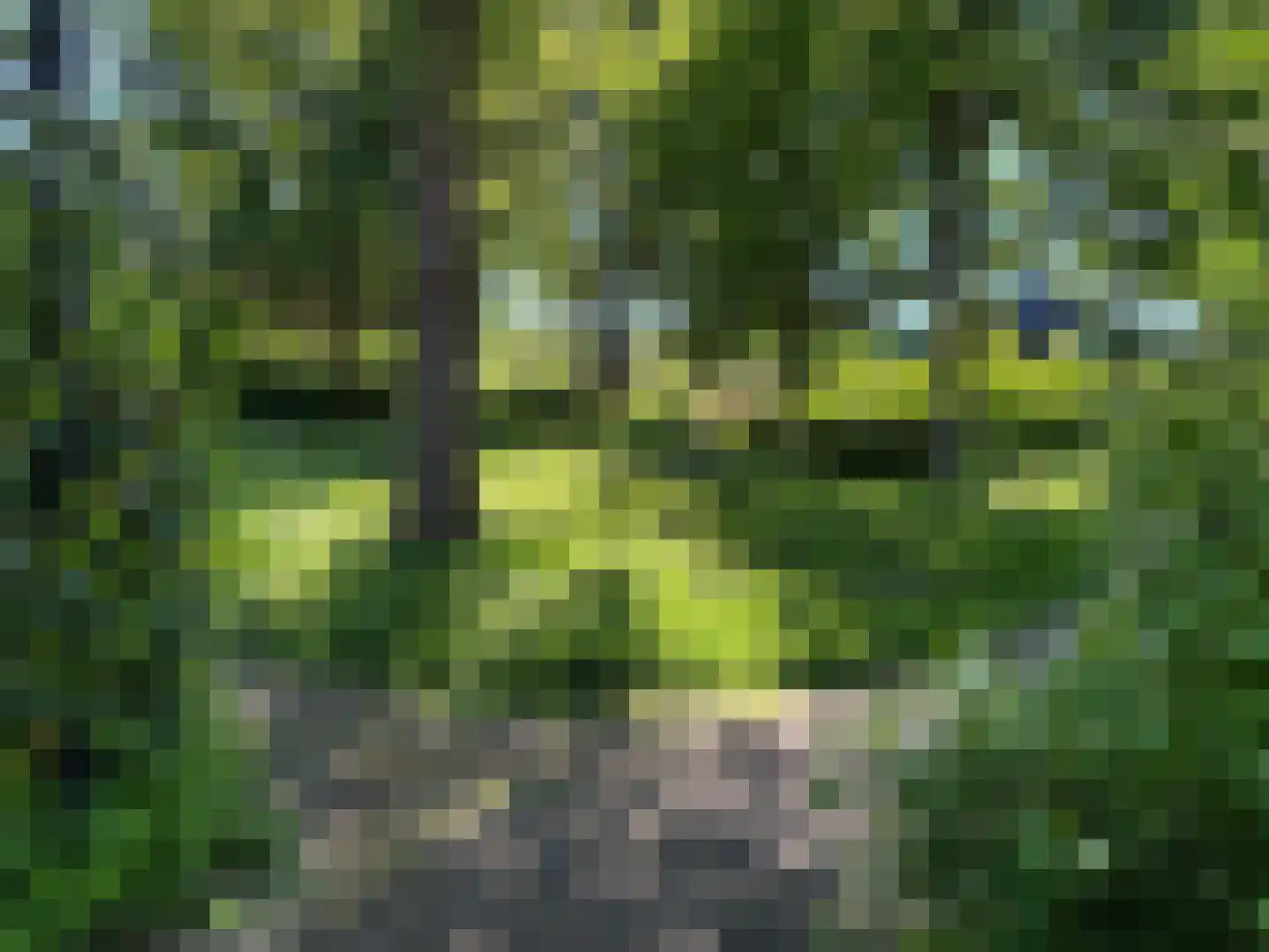 Smaragd 25 Mijdrecht thumbnail 35