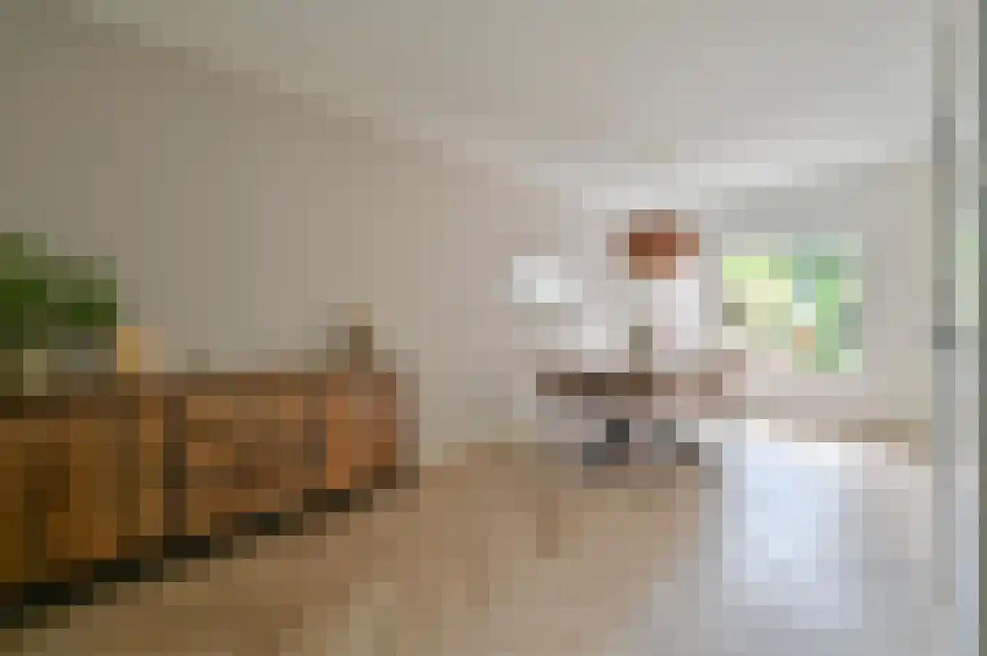 Smaragd 25 Mijdrecht thumbnail 7