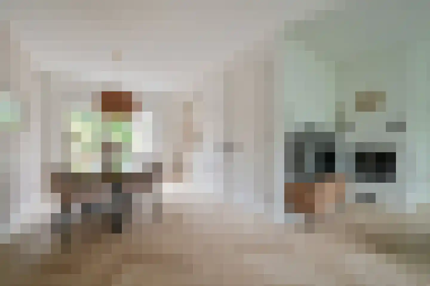 Smaragd 25 Mijdrecht thumbnail 8