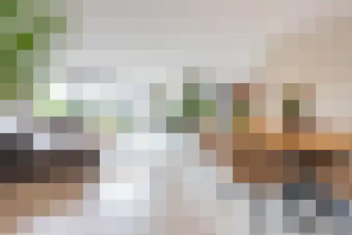Smaragd 27 Roelofarendsveen thumbnail 10