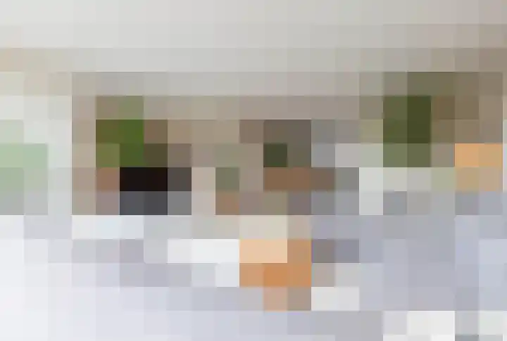 Smaragd 27 Roelofarendsveen thumbnail 11