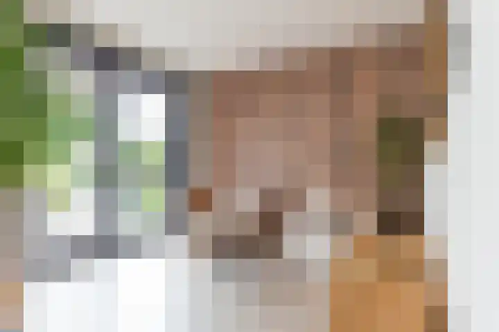 Smaragd 27 Roelofarendsveen thumbnail 12