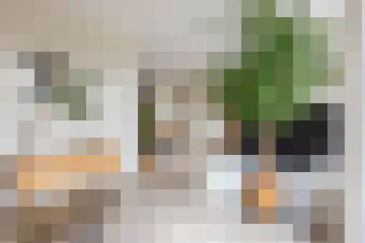 Smaragd 27 Roelofarendsveen thumbnail 13