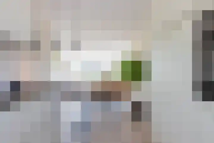 Smaragd 27 Roelofarendsveen thumbnail 15