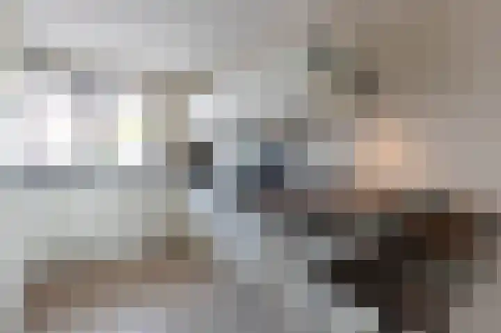Smaragd 27 Roelofarendsveen thumbnail 17