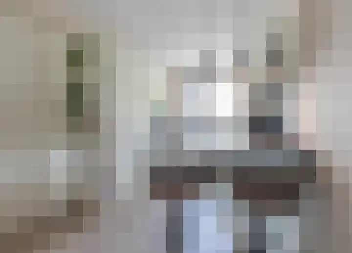 Smaragd 27 Roelofarendsveen thumbnail 19