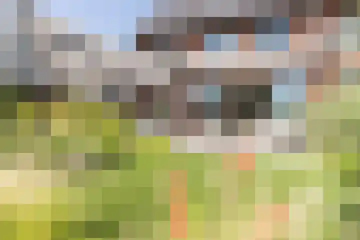 Smaragd 27 Roelofarendsveen thumbnail 23