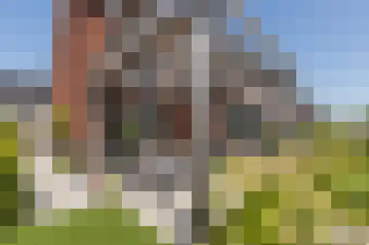 Smaragd 27 Roelofarendsveen thumbnail 26