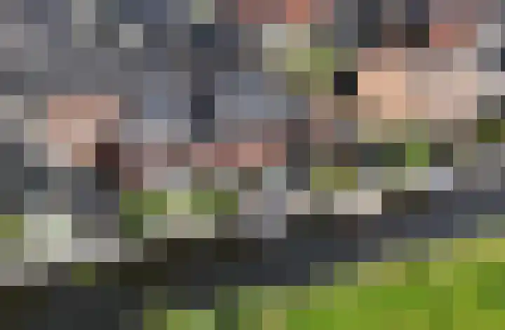 Smaragd 27 Roelofarendsveen thumbnail 29