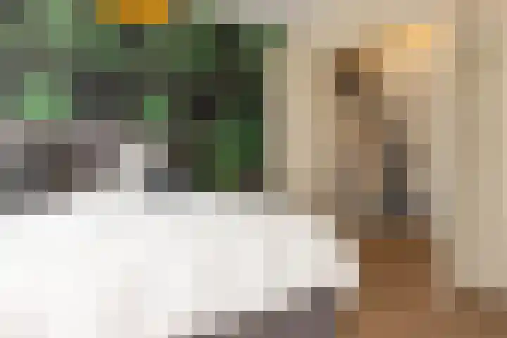 Smaragd 27 Roelofarendsveen thumbnail 34