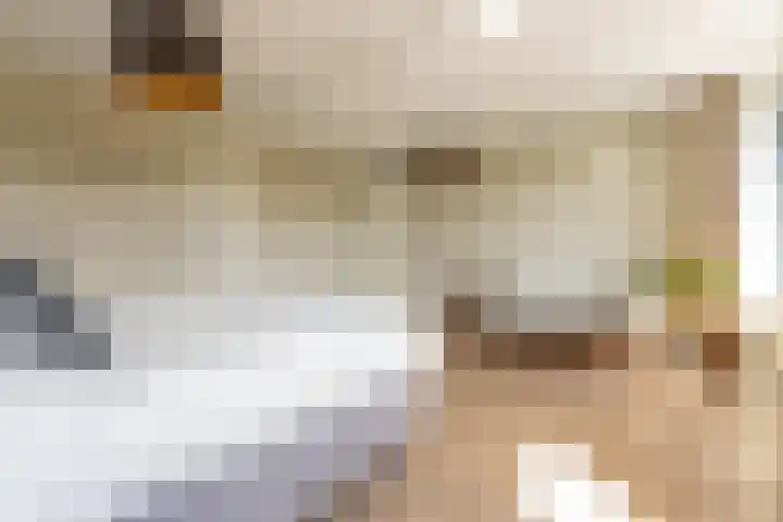 Smaragd 27 Roelofarendsveen thumbnail 35