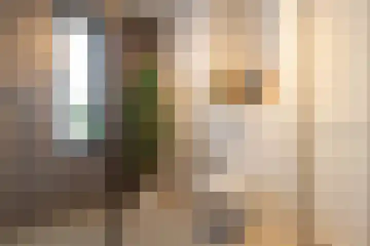 Smaragd 27 Roelofarendsveen thumbnail 37