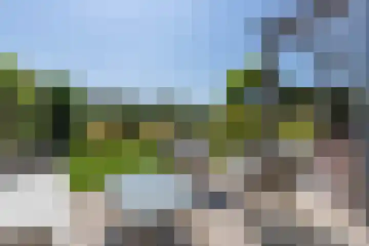 Smaragd 27 Roelofarendsveen thumbnail 4