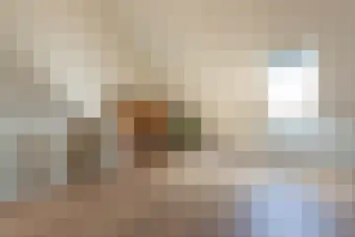 Smaragd 27 Roelofarendsveen thumbnail 42