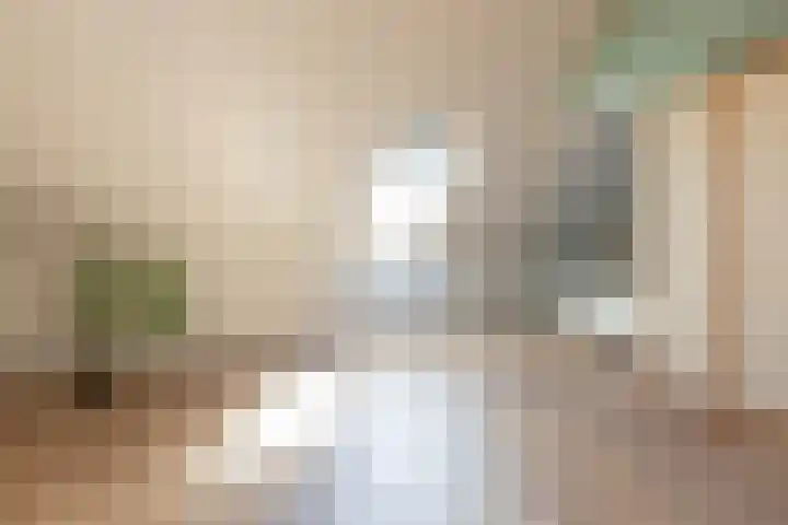 Smaragd 27 Roelofarendsveen thumbnail 46