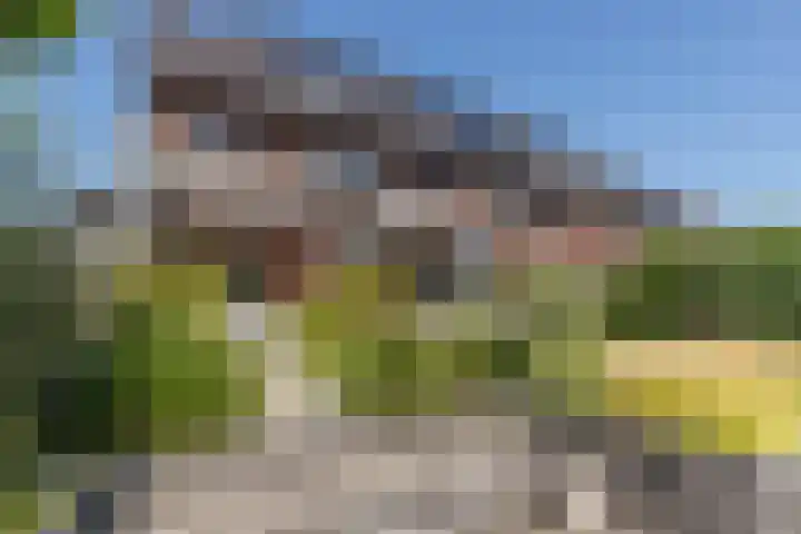 Smaragd 27 Roelofarendsveen thumbnail 5