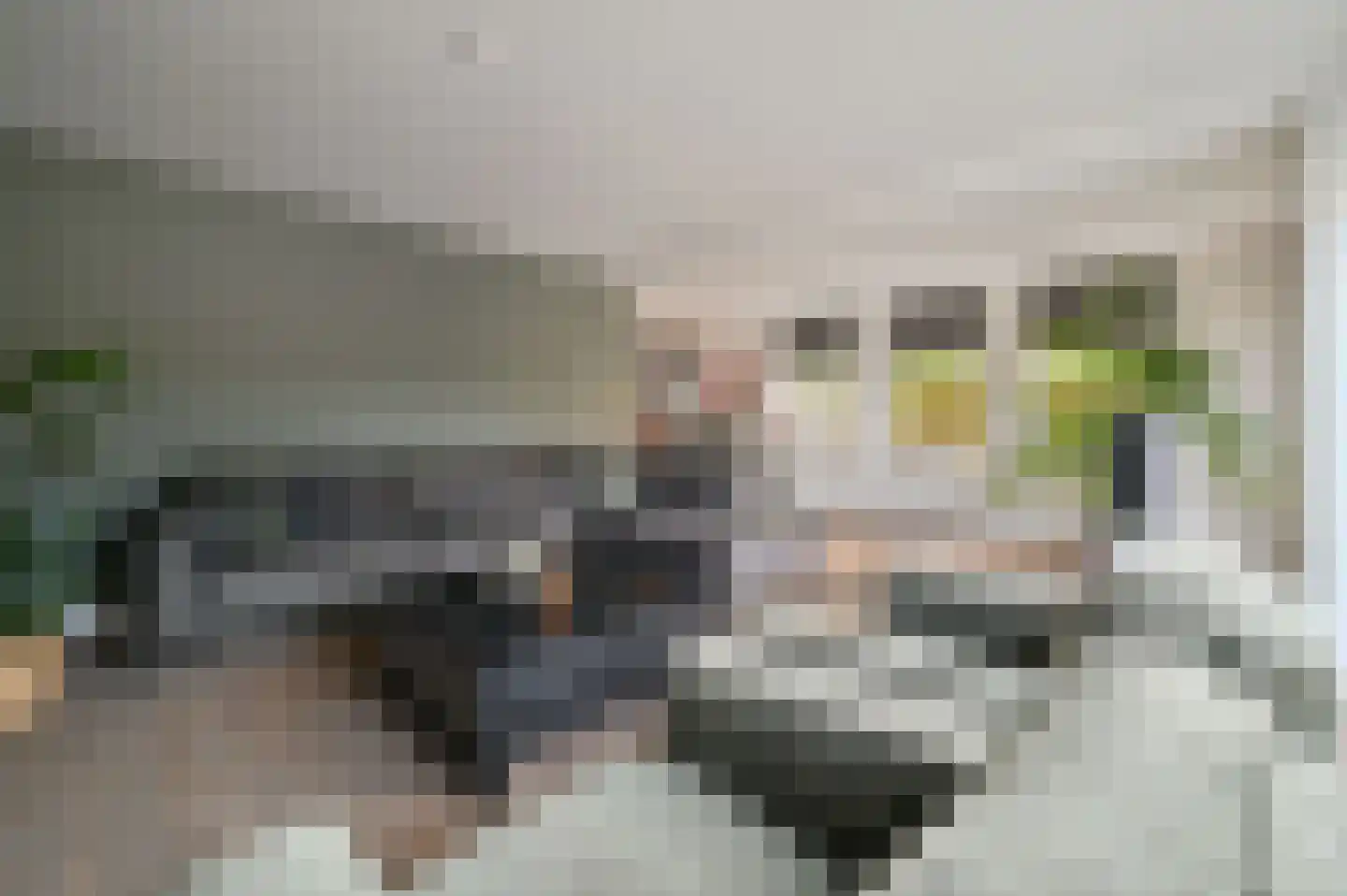 Smaragd 28 Zeewolde thumbnail 15