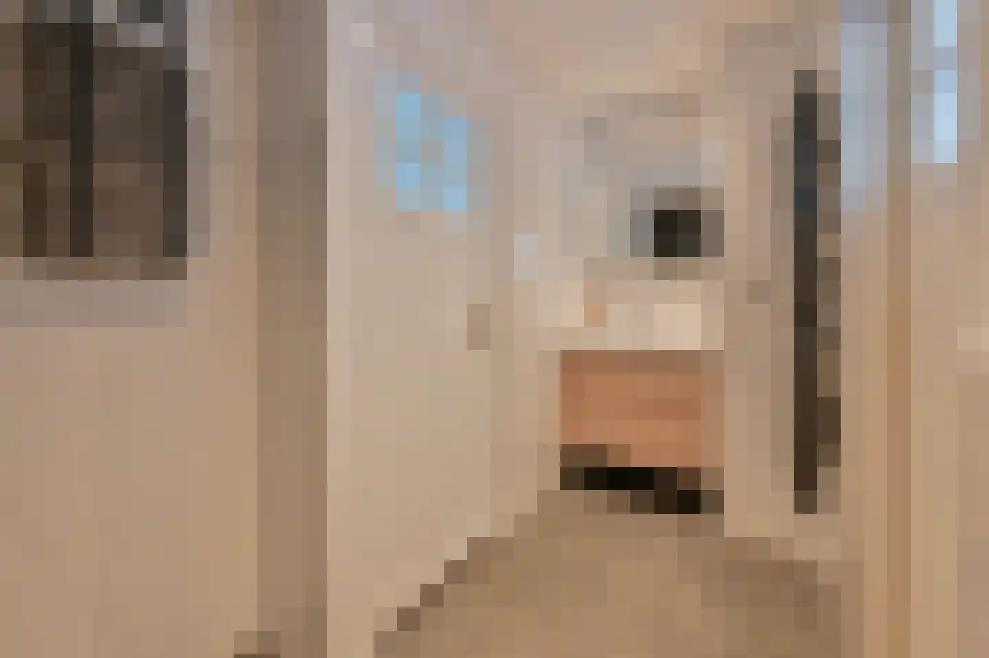 Smaragd 3 Mijdrecht thumbnail 10
