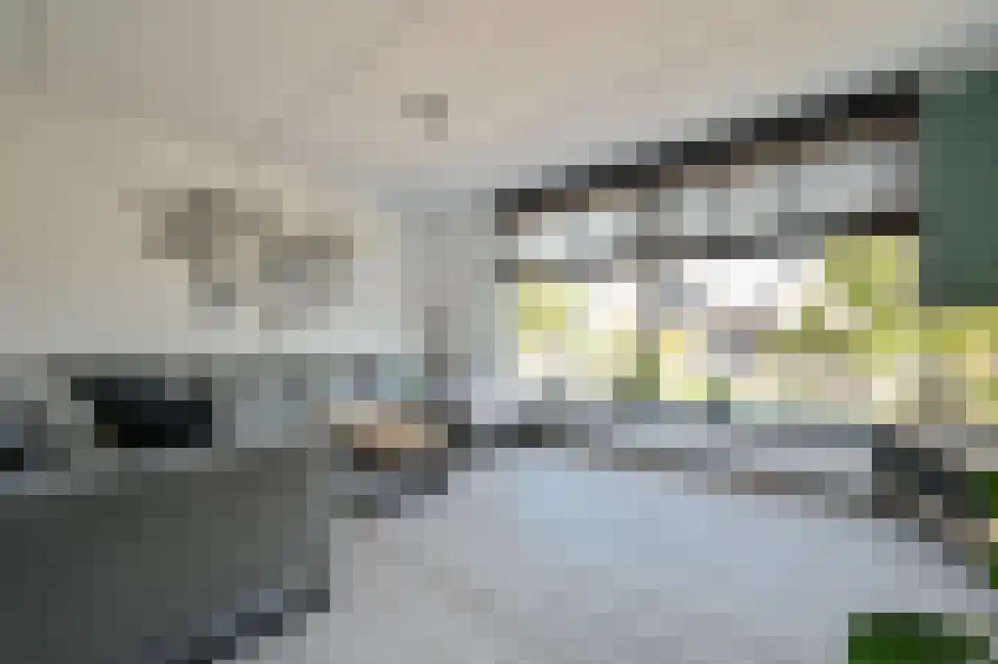 Smaragd 3 Mijdrecht thumbnail 12