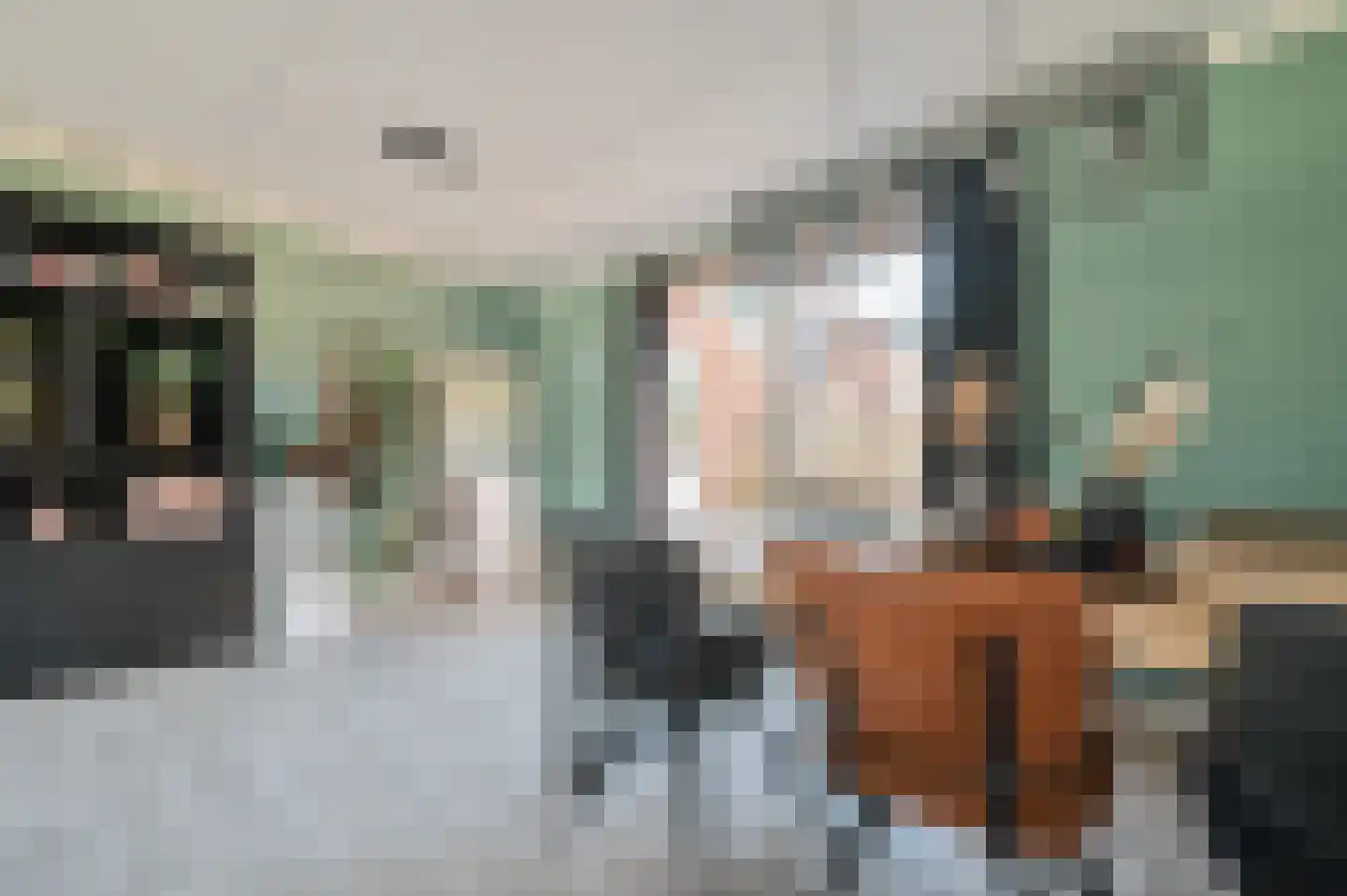 Smaragd 3 Mijdrecht thumbnail 17