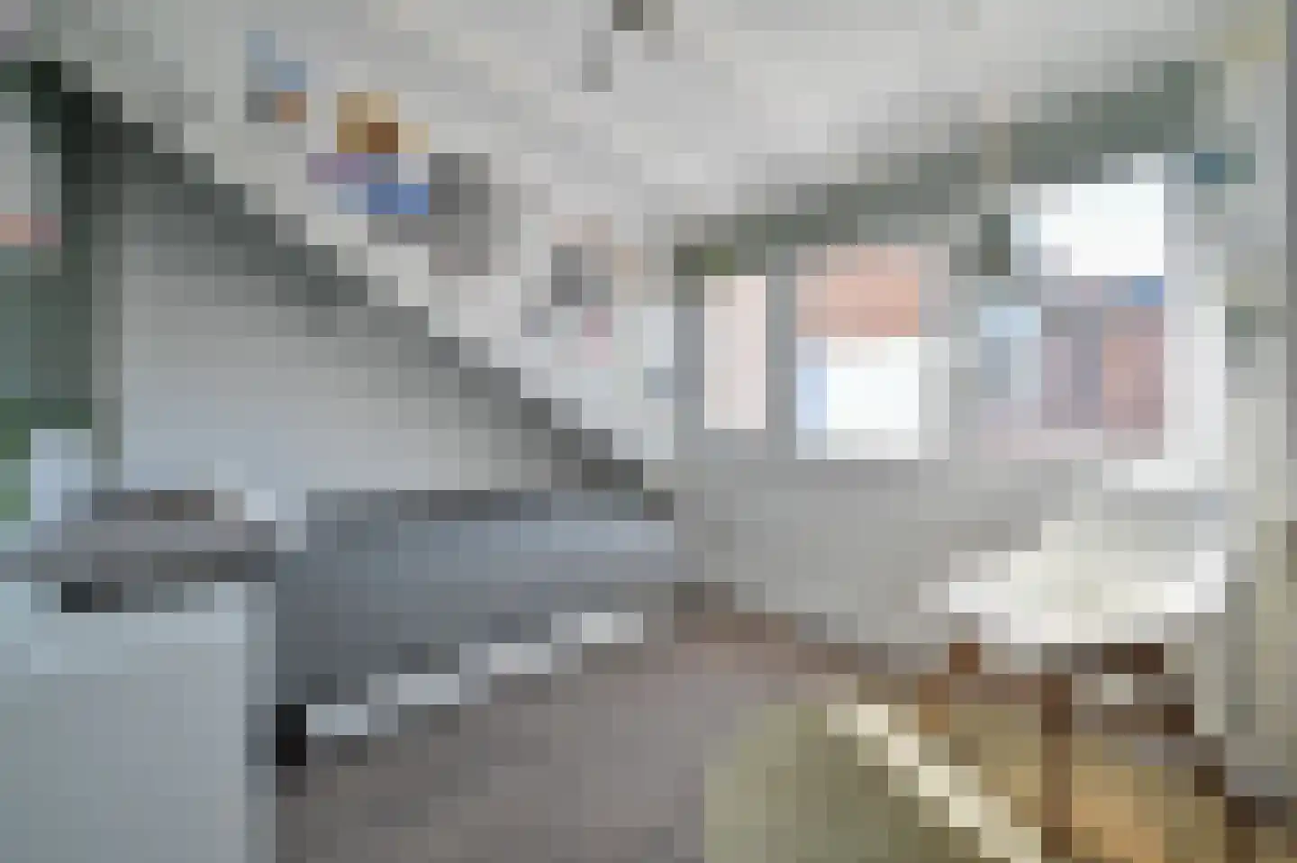 Smaragd 3 Mijdrecht thumbnail 26