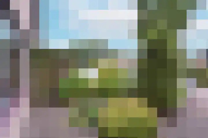 Smaragd 33 Mijdrecht thumbnail 32