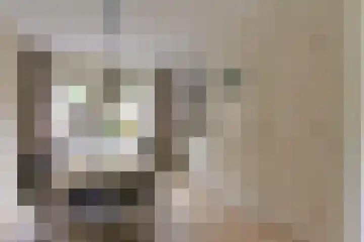Smaragd 33 Mijdrecht thumbnail 8