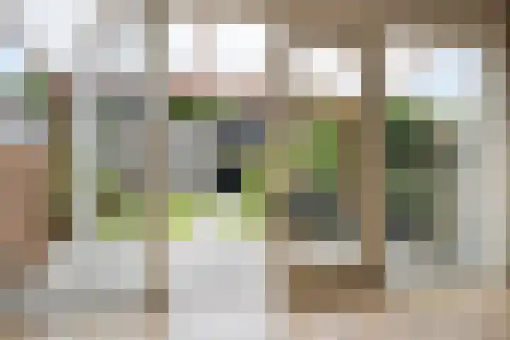 Smaragd 36 Drachten thumbnail 21