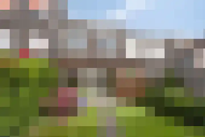 Smaragd 36 Drachten thumbnail 24
