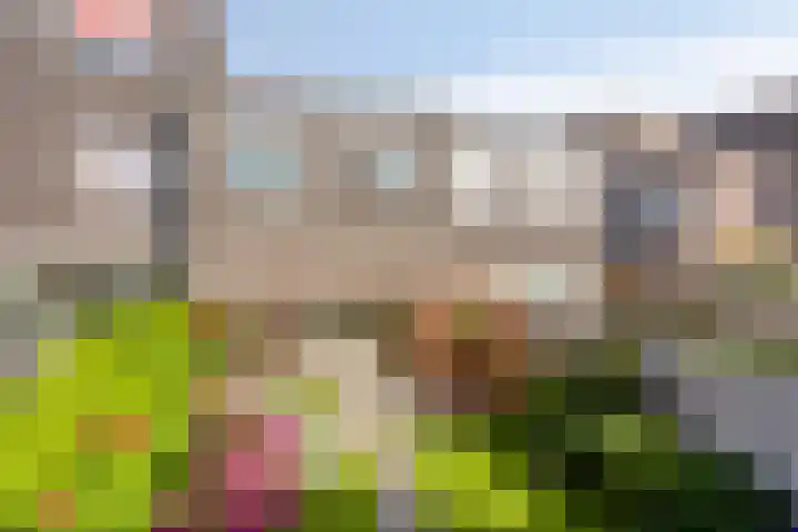 Smaragd 36 Drachten thumbnail 25