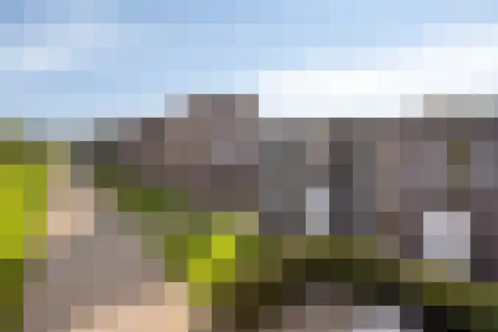 Smaragd 36 Drachten thumbnail 26