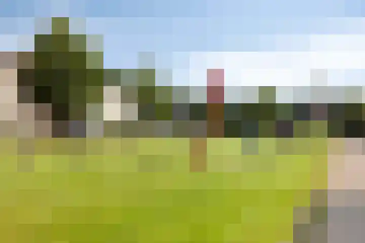 Smaragd 36 Drachten thumbnail 27