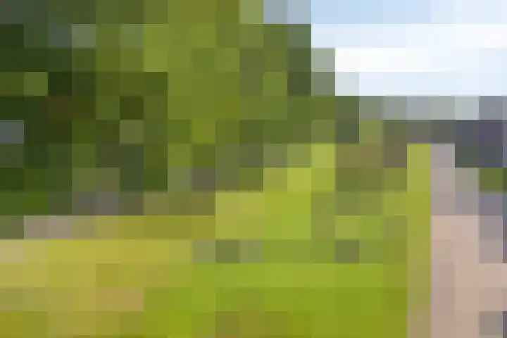 Smaragd 36 Drachten thumbnail 28
