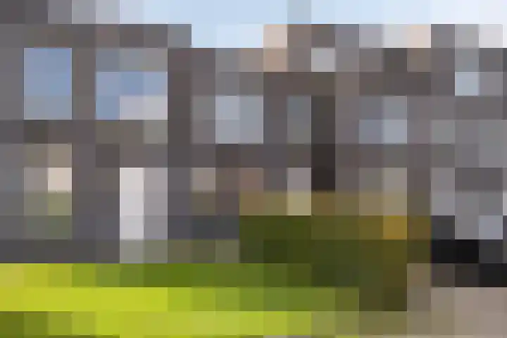 Smaragd 36 Drachten thumbnail 4