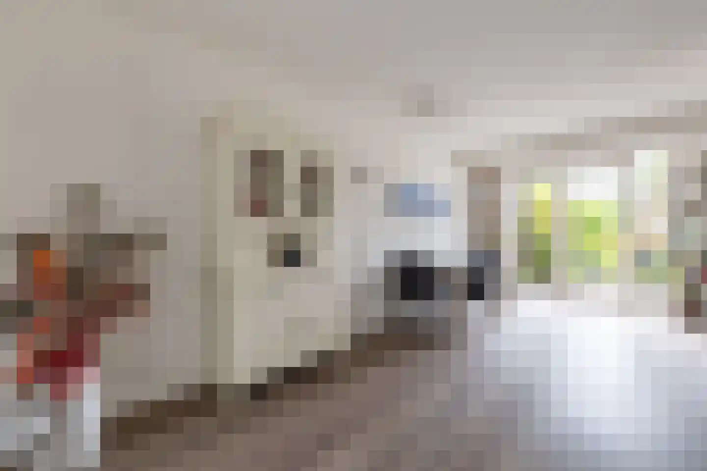 Smaragd 41 Mijdrecht thumbnail 10