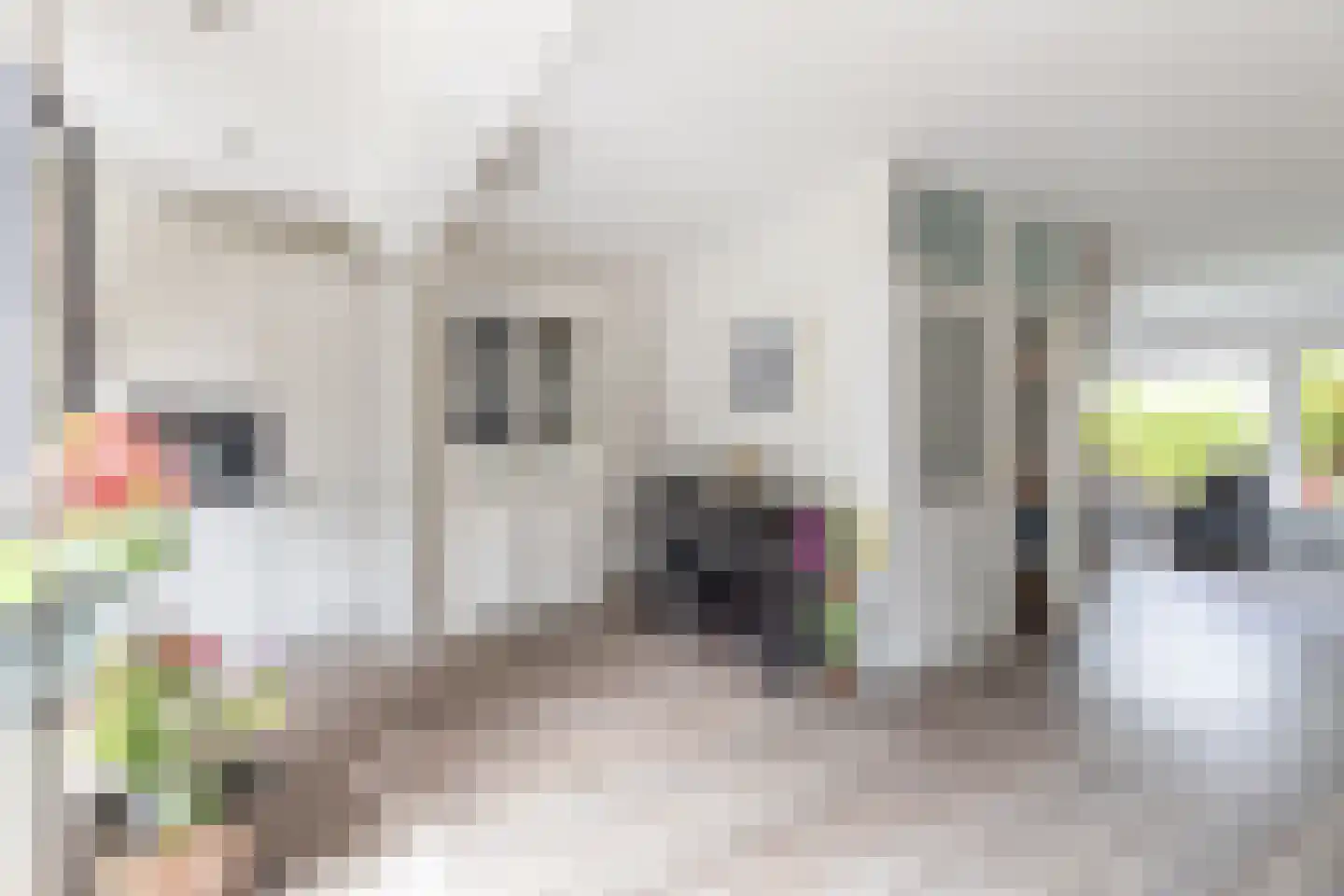 Smaragd 41 Mijdrecht thumbnail 12